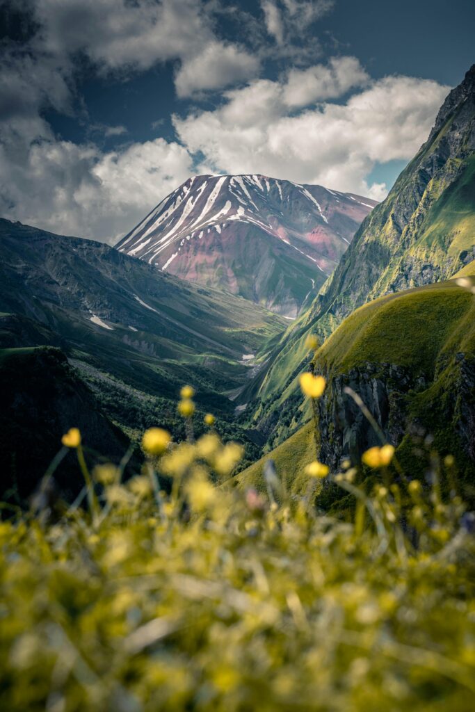 Snow-capped mountain surrounded by lush greenery and yellow flowers under a vibrant sky in Georgia.